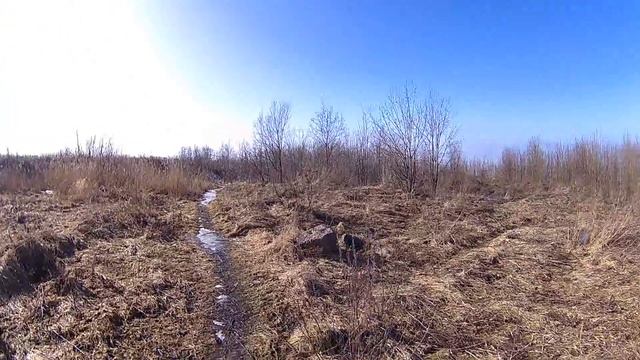 Что то в кустах. смотреть онлайн