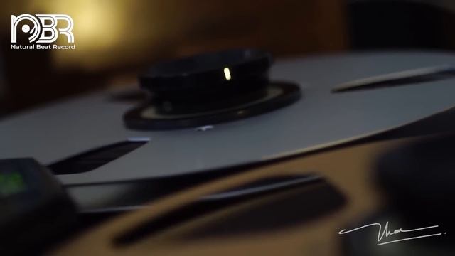 Best Audiophile Voices & Instruments - Hi-Res Music - Audiophile NBR Music