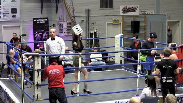 TVT2017 смотреть онлайн