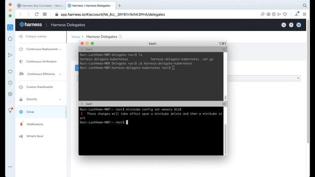 Harness Delegates 101 смотреть онлайн