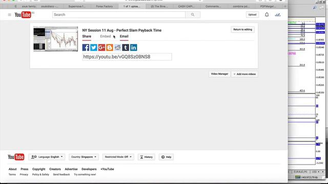 Why Your Binary Options Broker Account Manager is NOT Your Friend смотреть онлайн