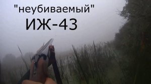 "Неубиваемый"  ИЖ-43