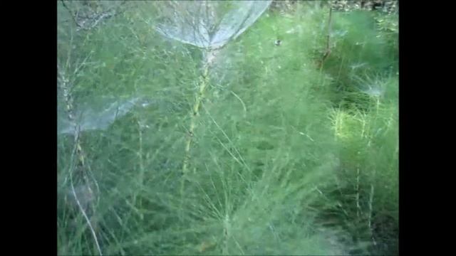 Самостоятельное путешествие. Провансальское Колорадо смотреть онлайн