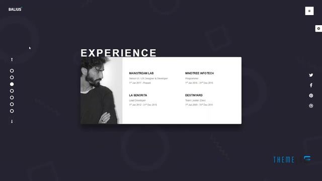 Balius - Resume and vCard WordPress Theme Angel Denver смотреть онлайн