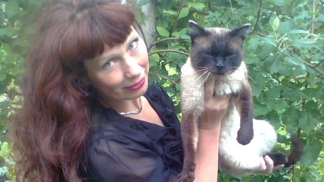 История одной любви.#кот смотреть онлайн