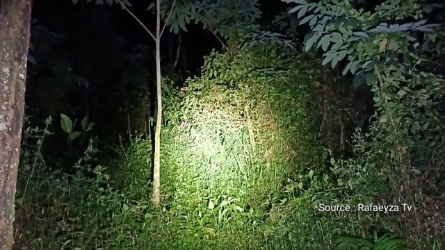 CAMPING HOROR: FATAL GAGAL BERKEMAH, KEDATANGAN KAKEK MISTERIUS PENGHUNI HUTAN ALAS ANGKER смотреть онлайн