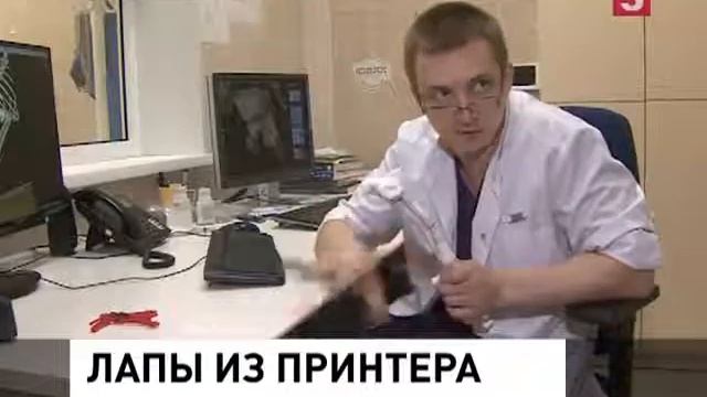 Уникальные 3D протезы лап у собак и кошек в клинике Бэст. Репортаж смотреть онлайн