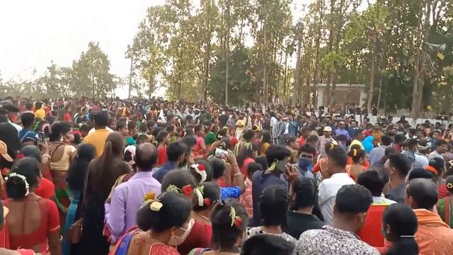 Baha Bonga Bhubaneswar Mid Jhalak || Sagun Baha Bonga - 2022 Bhubaneswar || ᱥᱟᱹᱜᱩᱱ ᱵᱟᱦᱟ ᱵᱚᱸᱜᱟ ᱒᱐᱒ смотреть онлайн