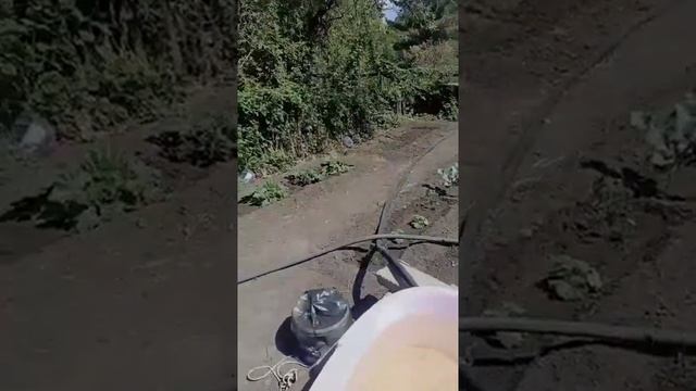 Учебник по Таланту и Творчеству