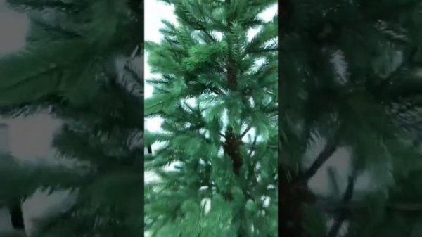 Ель GreenTrees Нордман