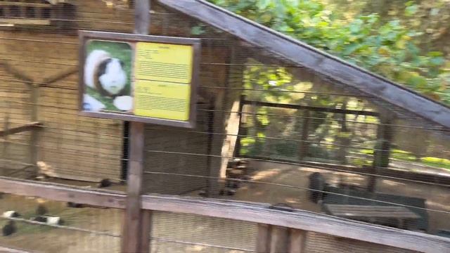 Большой Зоопарк в Анталии. Обзор. Заплатили меньше 1$ смотреть онлайн