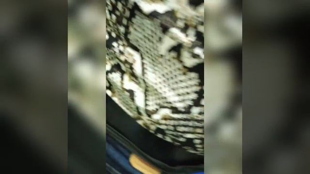 Британская кошка Клеопатра! Экспресс-линька британцев. смотреть онлайн