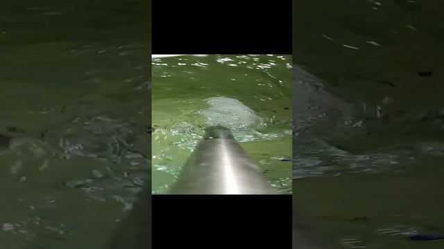 Мешалка для еврокуба замедленная съемка.mp4 смотреть онлайн