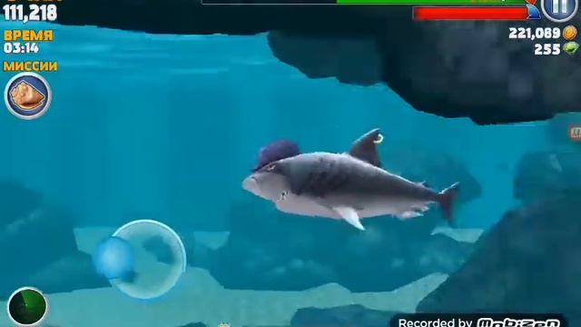 Играем в Hungry shark evolution #1-МЕГАЛОДОН И МОБИ ДИК.КРАБ. смотреть онлайн