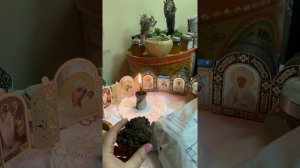 Магические и лечебные свойства чаги