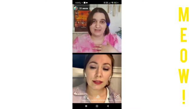 Коллаба MEOWVONN