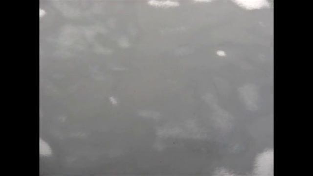 Покраска HONDA JASS- убираем бутерброд! смотреть онлайн