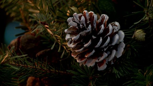 Отдание праздника Рождества Христова смотреть онлайн