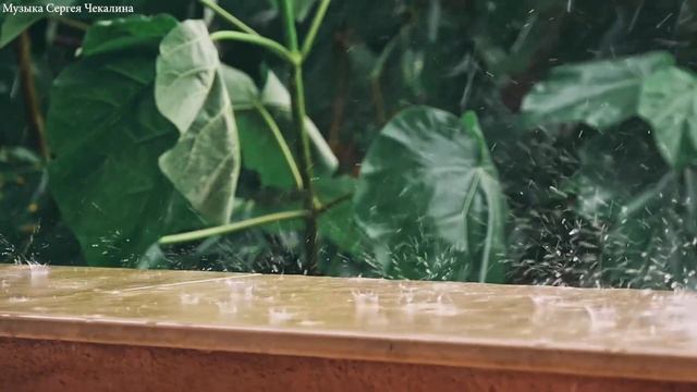 Мелодии дождя. Музыка для души. Эту музыку можно слушать вечно! Лучшие композиции Сергею Чекалину #