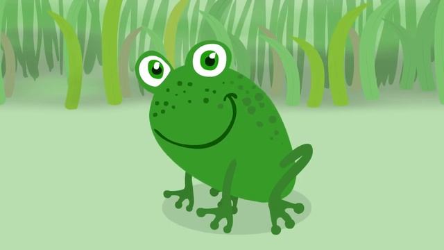 От икринки до лягушки