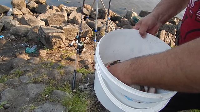 Ловля рыбы близ города Калязин на Волге№14 смотреть онлайн