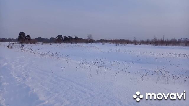Рыбалка зимняя. Рыбаки на реке. Аппликация "Ежи,,. Н. Гончаров Намело, Навьюжило..... смотреть онлайн