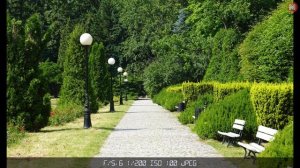 Sony RX100 Mark VII – Review in 2021!