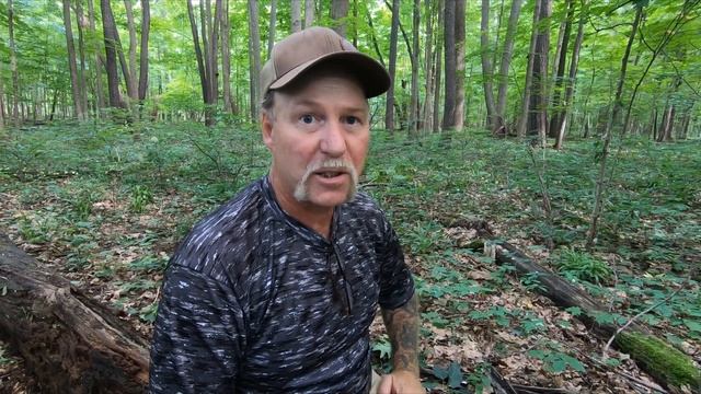 Rare, Uncommon, And Beautiful Mushrooms Found In Michigan смотреть онлайн
