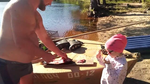 Как разделать щуку, слабонервным смотреть!!! Толстопузый мужик зарезал щуку, смотри пока не удалили смотреть онлайн