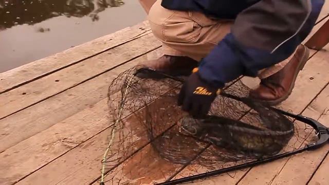 Сомик на "Золотом сазане" смотреть онлайн