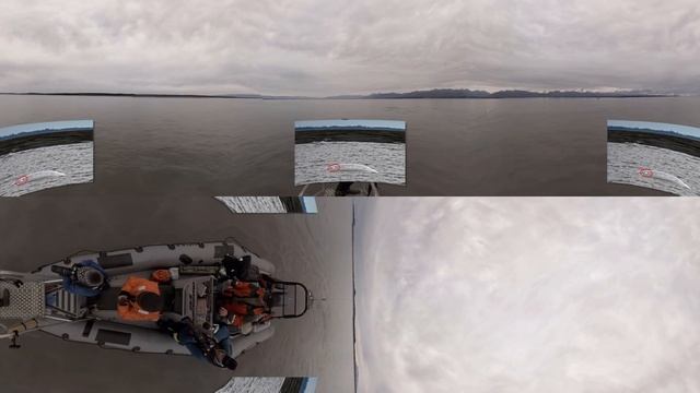 Photo ID Project - Cook Inlet Beluga Whale Research in Virtual Reality смотреть онлайн