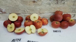 Сравнение яблок серии  Fuji Фуджи