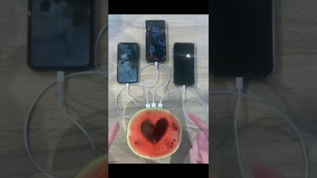 That Little Puff Compilation | Funny 8min Collection #thatlittlepuff #catsofyoutube #compilation