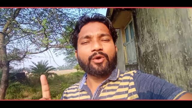 NEEM DARE RE BONGAY OPEL AAKANA || नीम दारे रे बोंगाय ओपेल आकाना || TOWAY AMO KANA. смотреть онлайн