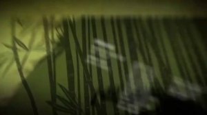 kung fu panda credits edited