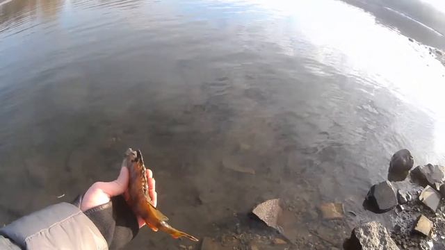 Рыбалка на Москва реке в музее заповеднике Коломенское 03 12 2017 смотреть онлайн