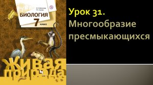 Урок 31. Многообразие пресмыкающихся