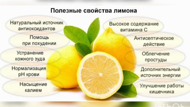 InShot_20230115_233626797.mp4