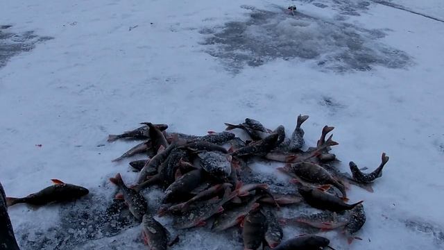 Ханты-Мансийский округ. Озеро Ранге-Тур. часть 3. смотреть онлайн