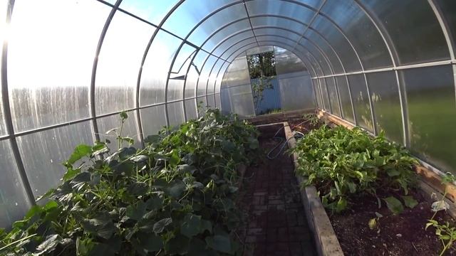 ШАШЛЫК ЛЕНИВЫЙ.БАНЯ БОЧКА ГОД.БЕСЕДКА ДВУХЭТАЖНАЯ. смотреть онлайн