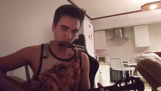 Harmonica x Guitar = My "Song of Storms" смотреть онлайн