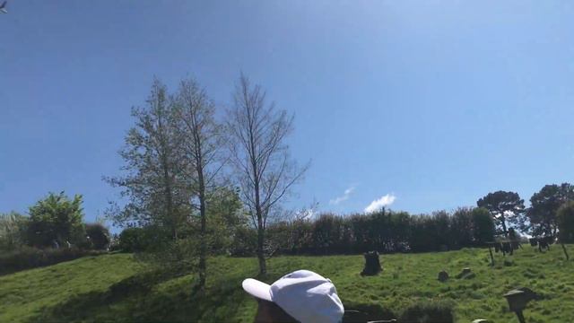 Majestic Princess cruise Excursion HobbiTon movie set Где снимали кинотрилогии Хоббит смотреть онлайн