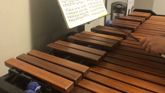 D Harmonic Minor with Arpeggio - Practice with Me! смотреть онлайн