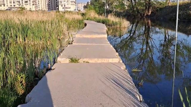 Бетонная дорога до метро Некрасовка из ЖК Самолёт, г.о. Люберцы. 17.05.2023г. смотреть онлайн