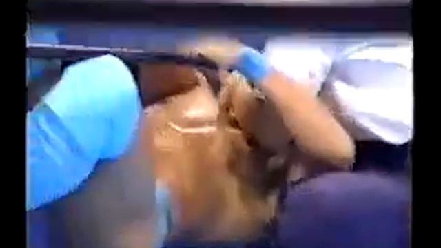 Ken Shamrock vs Kazuo Takahashi N2 [Pancrase - Truth 1] 28.01.1996 смотреть онлайн