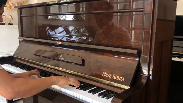 Fritz Khula upright piano video demo смотреть онлайн