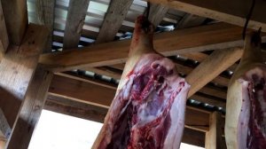 МЯСО и САЛО ВЕНГЕРСКОЙ ПУХОВОЙ МАНГАЛИЦЫ