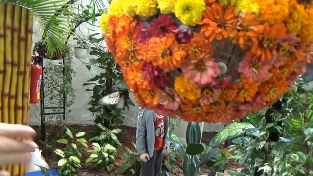 День Рождения Кати в Дубаи на розовом лимузине 3 года смотреть онлайн