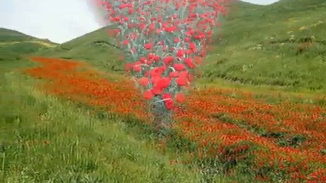 Природа в фотографиях Таджикистан смотреть онлайн