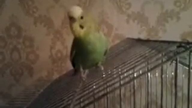 А ЗА ОКНОМ ... смотреть онлайн